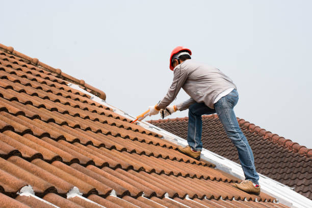 Professional Roofing services in Dranesville, VA