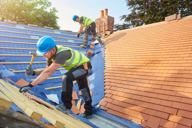 Best Green or Eco-Friendly Roofing Solutions  in Dranesville, VA